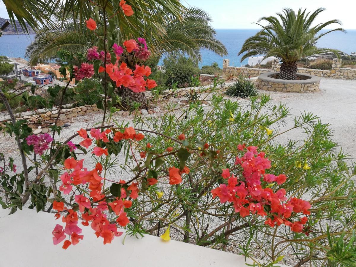 Tranquil Villa With Sea View In Ammopi Karpathos Amoopi Bagian luar foto